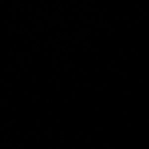 Meet your Posher, Liz